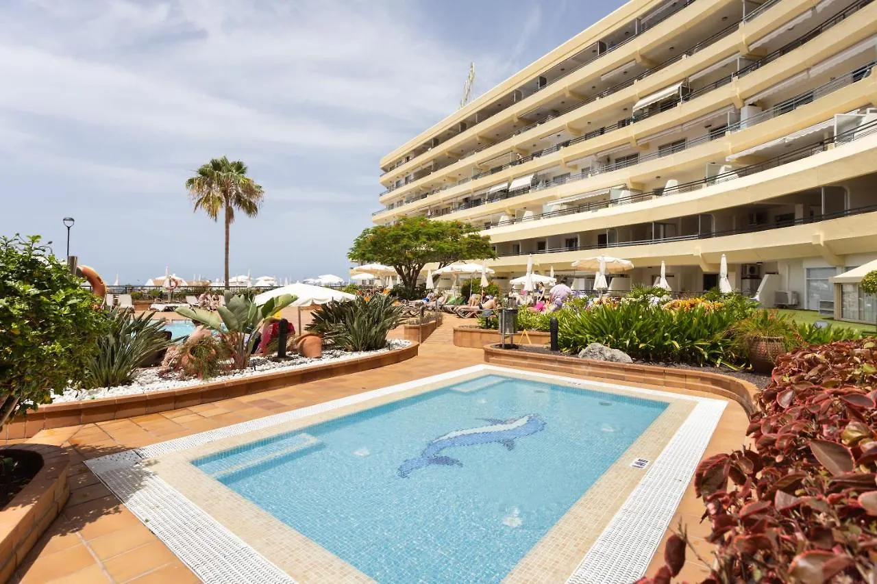 Studio 50M From Puerto Colon Beach Costa Adeje  Spain